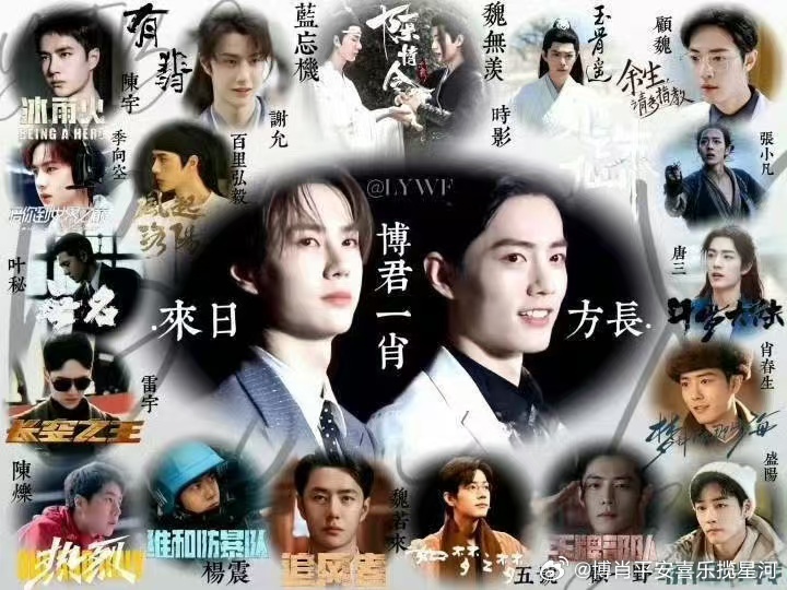 一肖一码一一肖一子,一肖一码一一肖一子的神秘世界
