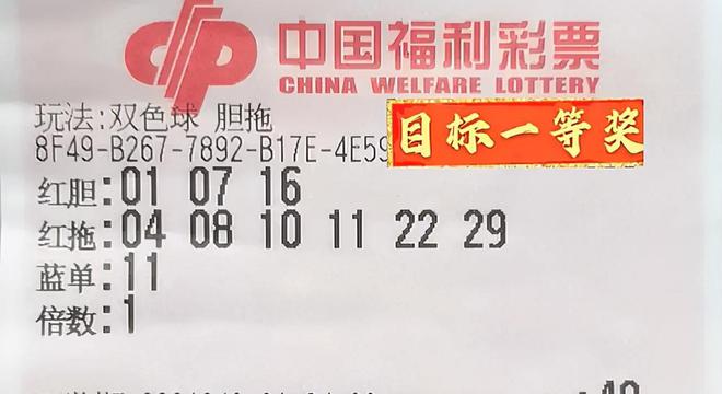 2025澳门特马今晚开奖56期的,澳门特马今晚开奖第56期，期待与惊喜的交融