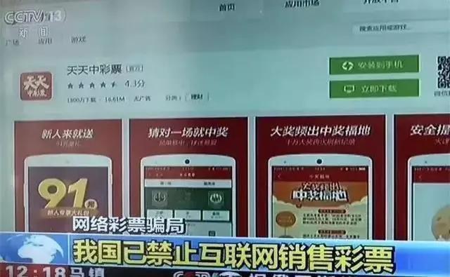 澳门天天彩期期精准,澳门天天彩期期精准——揭秘彩票背后的秘密