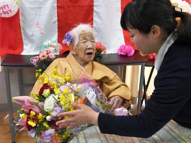 118免费正版资料大全,探索与发现，118免费正版资料大全的奥秘世界