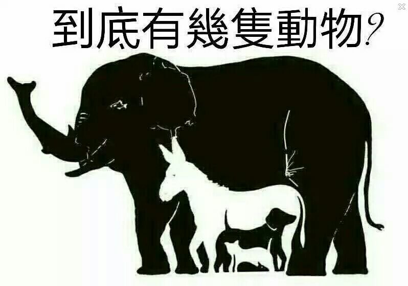 八十一期四不像必中—肖图,八十一期四不像的神秘面纱，肖图必中之谜