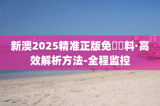 新澳2025年精准正版资料,新澳2025年精准正版资料深度解析