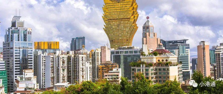2025新澳门资料大全,澳门未来展望，2025新澳门资料大全