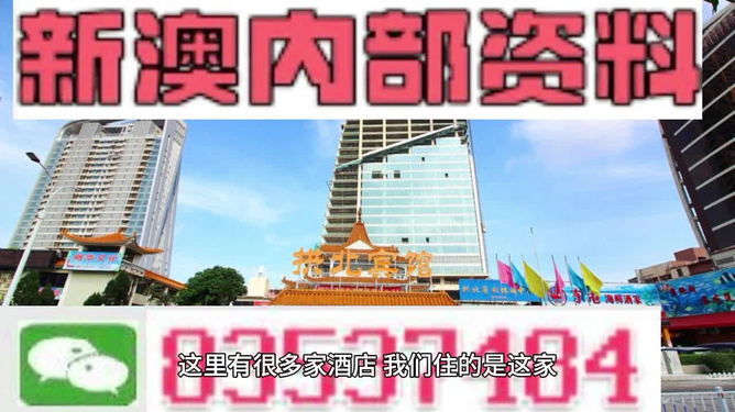 2025年新澳门王中王免费,探索澳门新纪元，2025年王中王免费现象